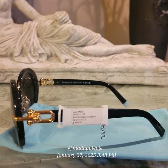 Tiffany & Co. TF4201 Sunglasses Round Hardware Luxury Designer Celebrity #135 - Picture 7 of 13